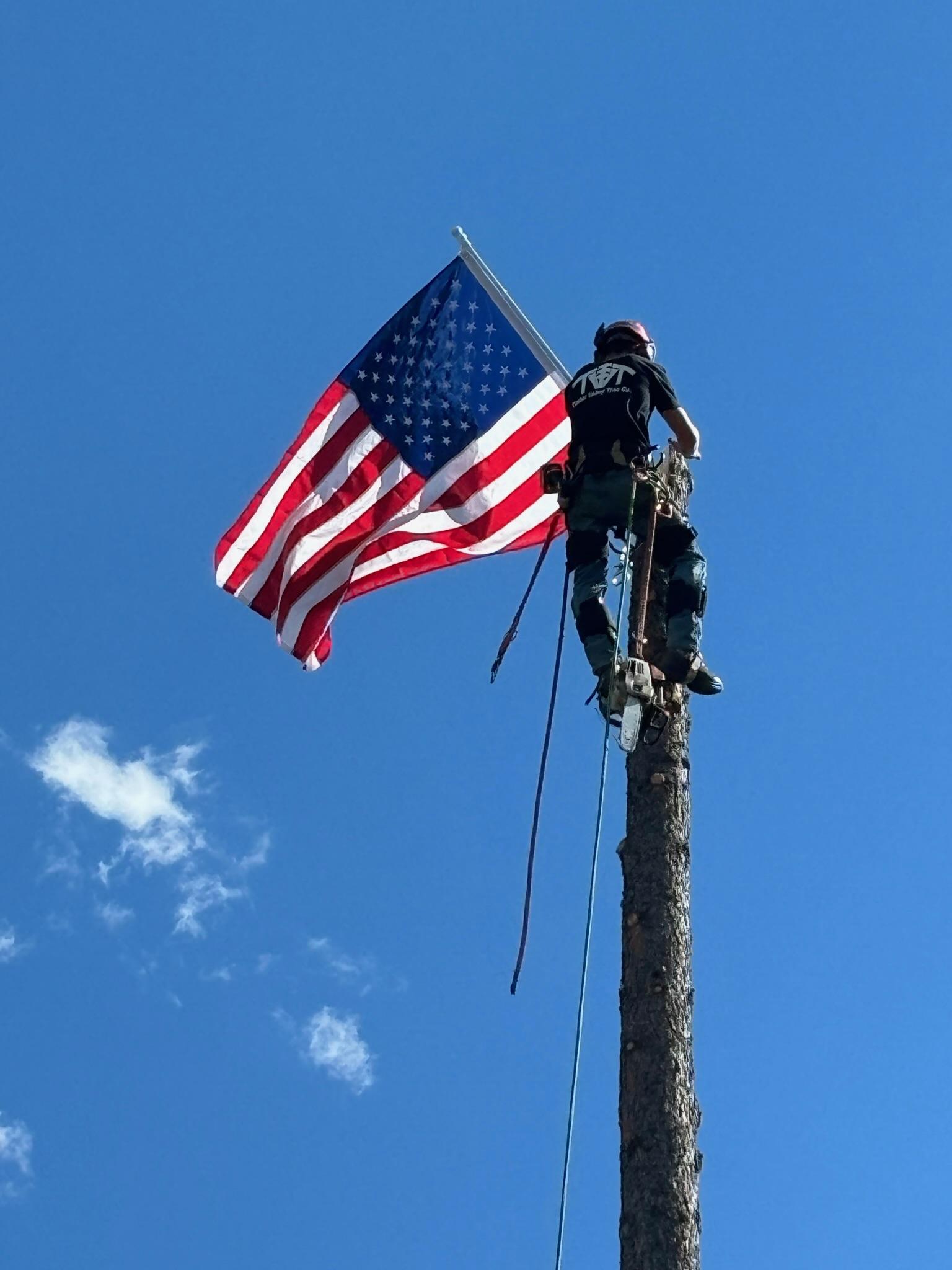 Timber Valley Tree Co. Image