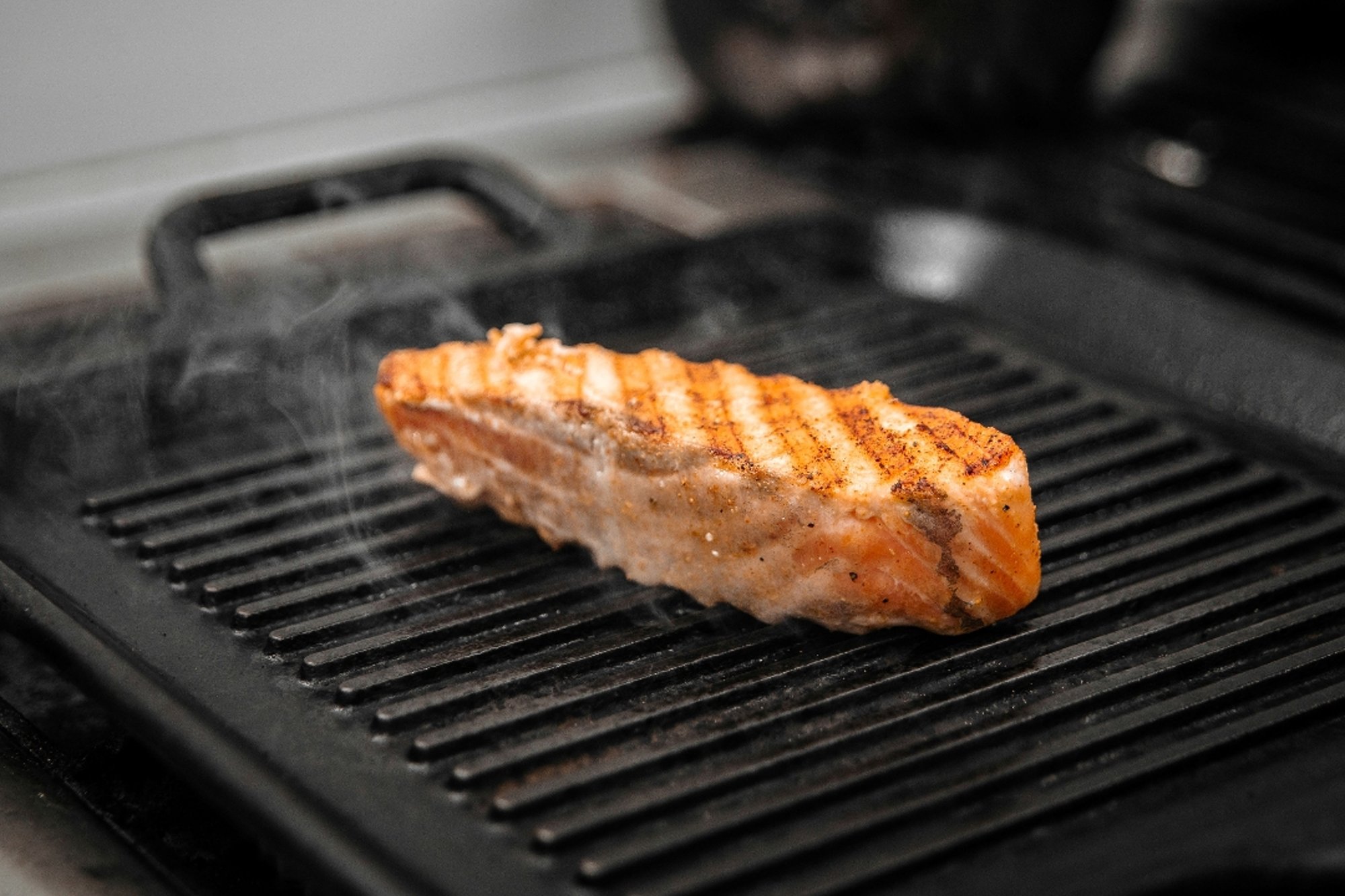Salmon