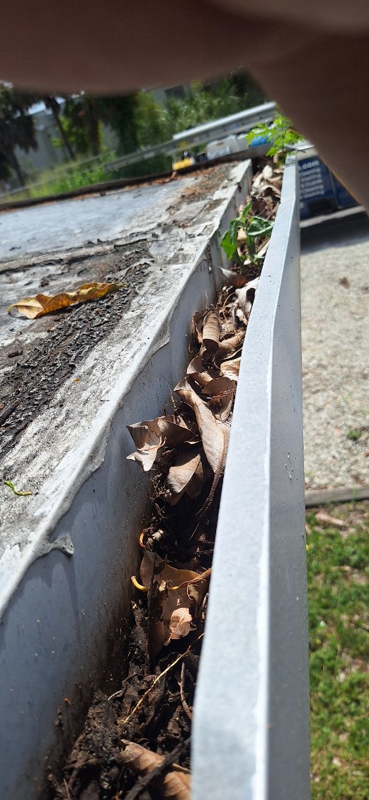 Window Hero Northern Tampa Image