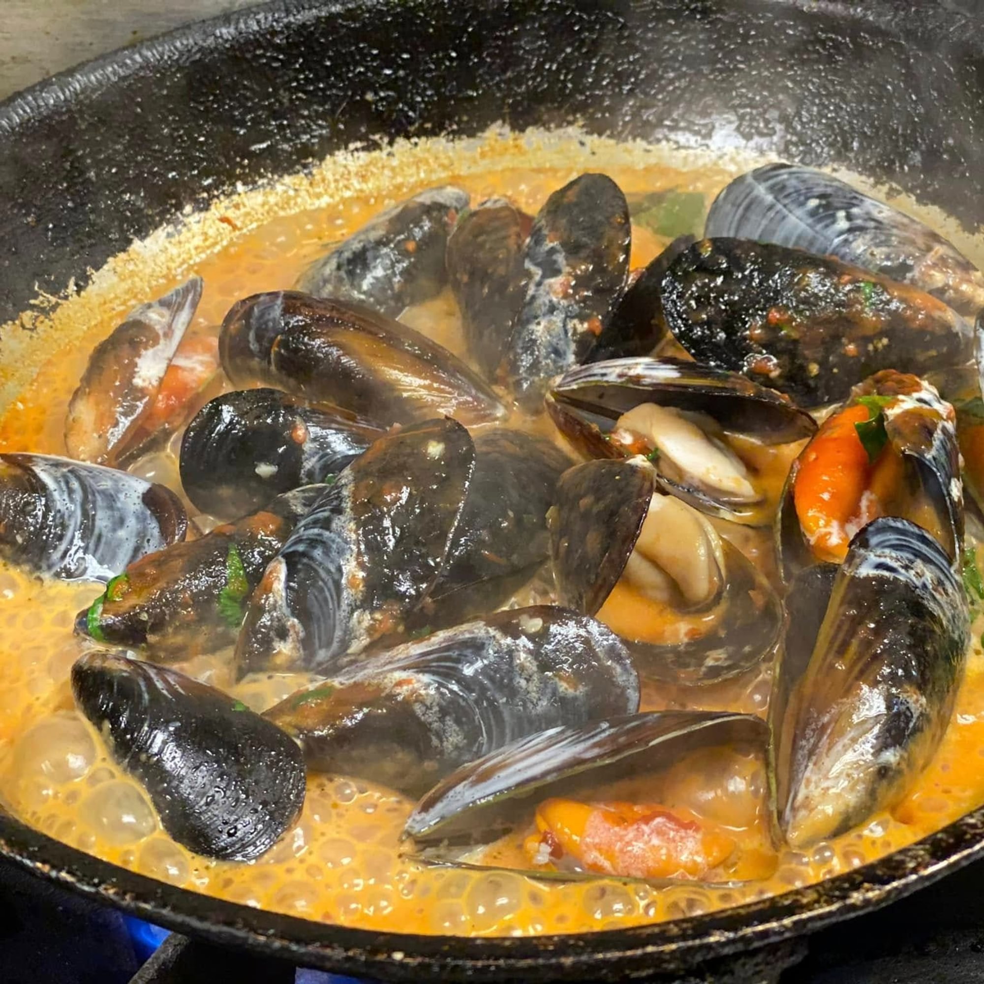 Mussels