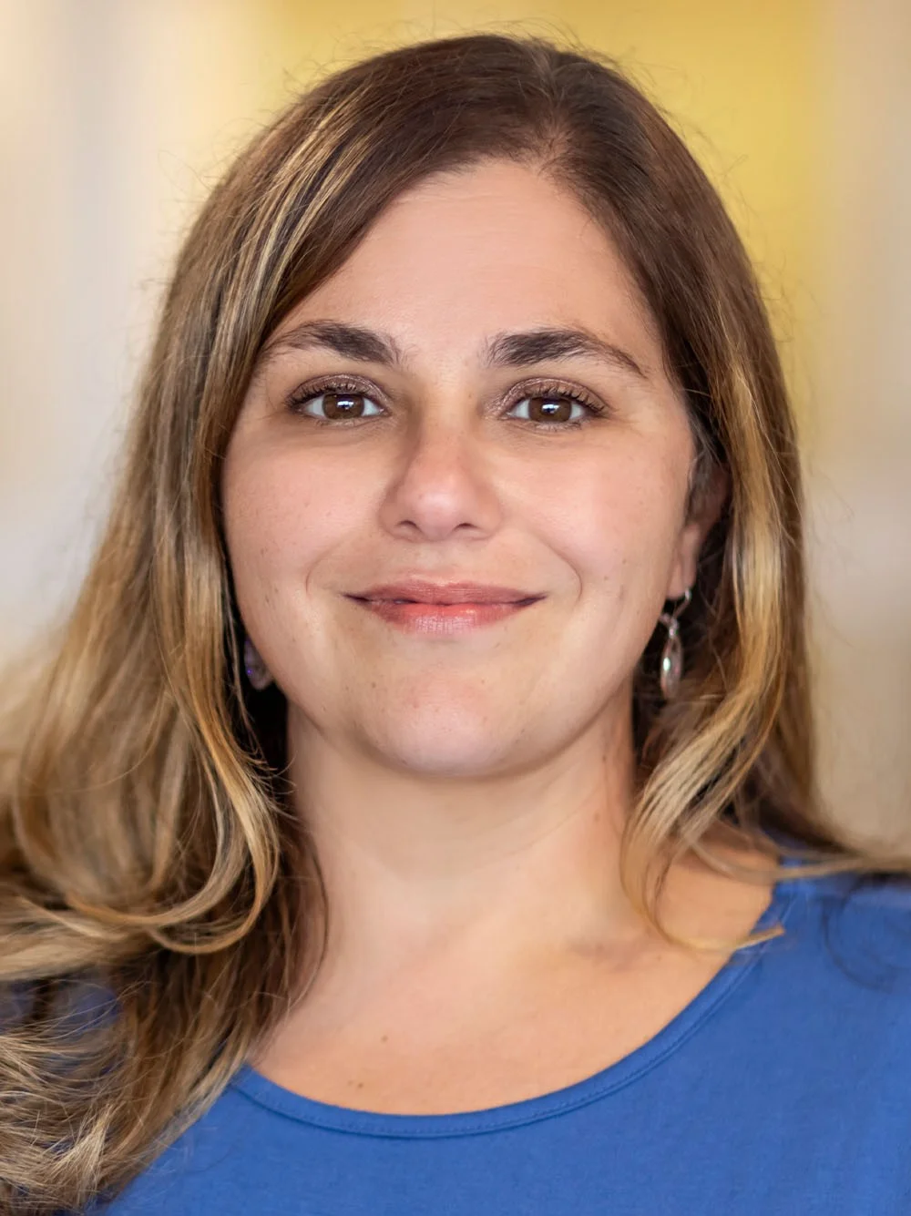 Lisa M. Dapuzzo-Argiriou, MD Image