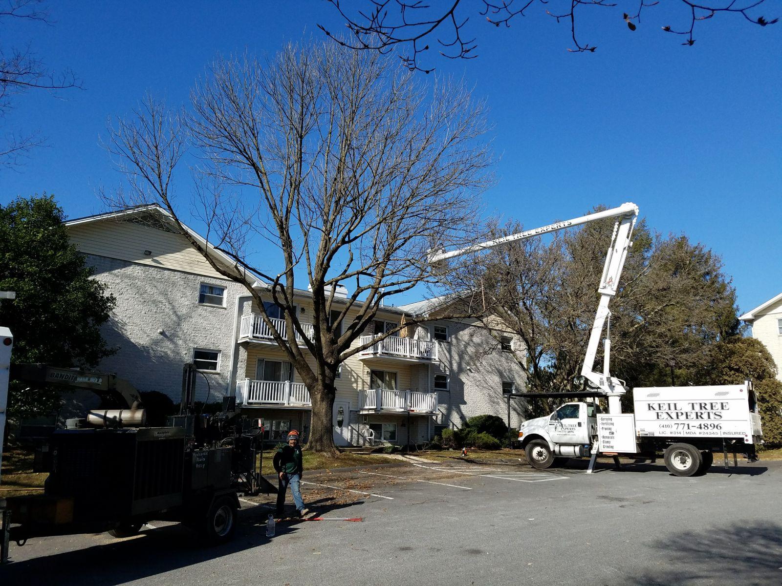 Keil Tree Experts Inc Image