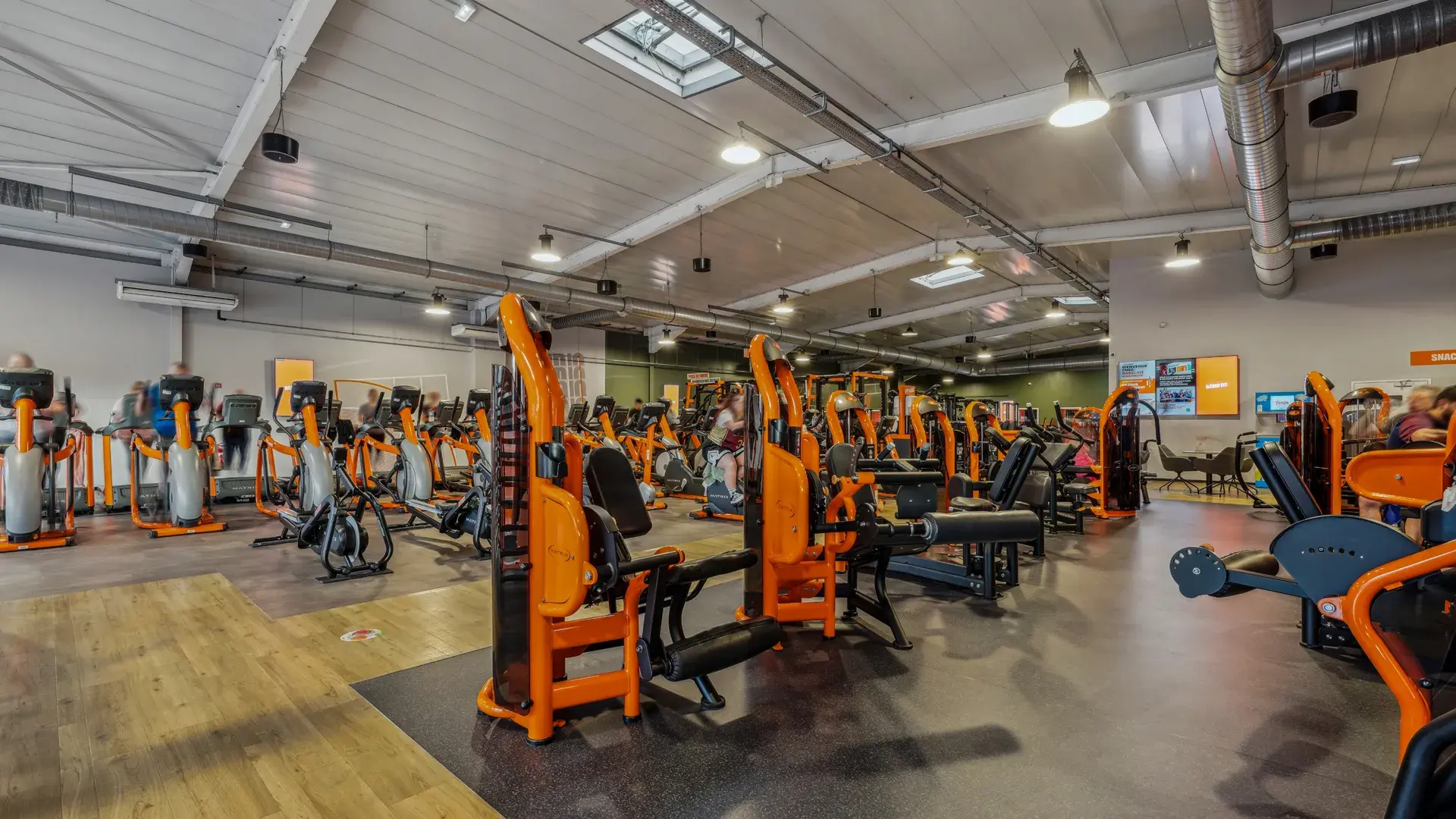 Miniature de la galerie