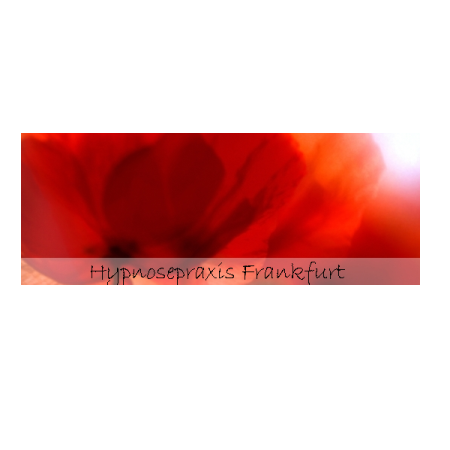 Logo von Die Hypnosepraxis