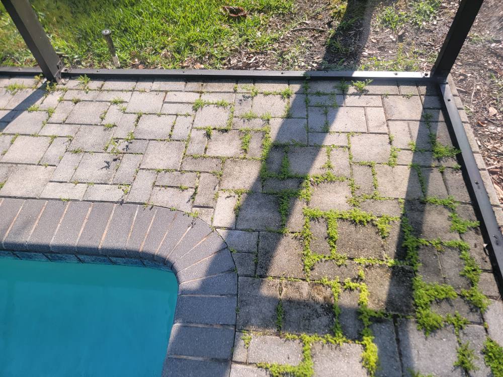 Window Hero Northern Tampa Image