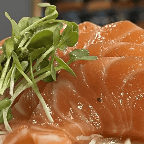 Salmon Carpaccio