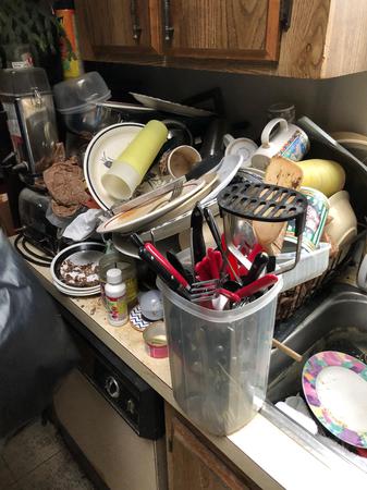 Images G3 Junk Removal