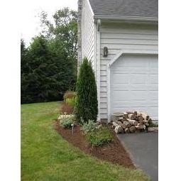 Shine Landscaping, Maintenance &amp; Tree Service Logo