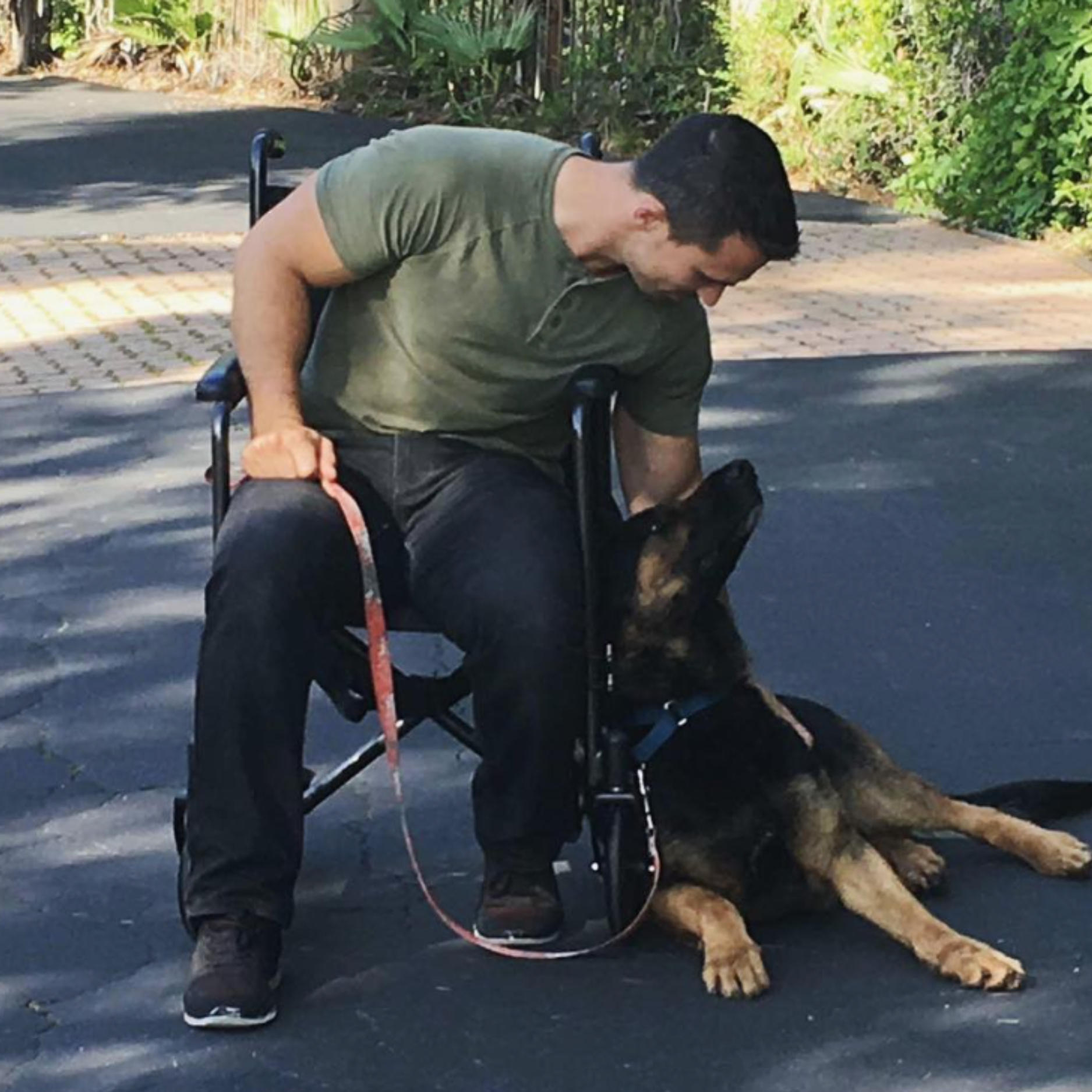 Nate Schoemer Dog Training Image