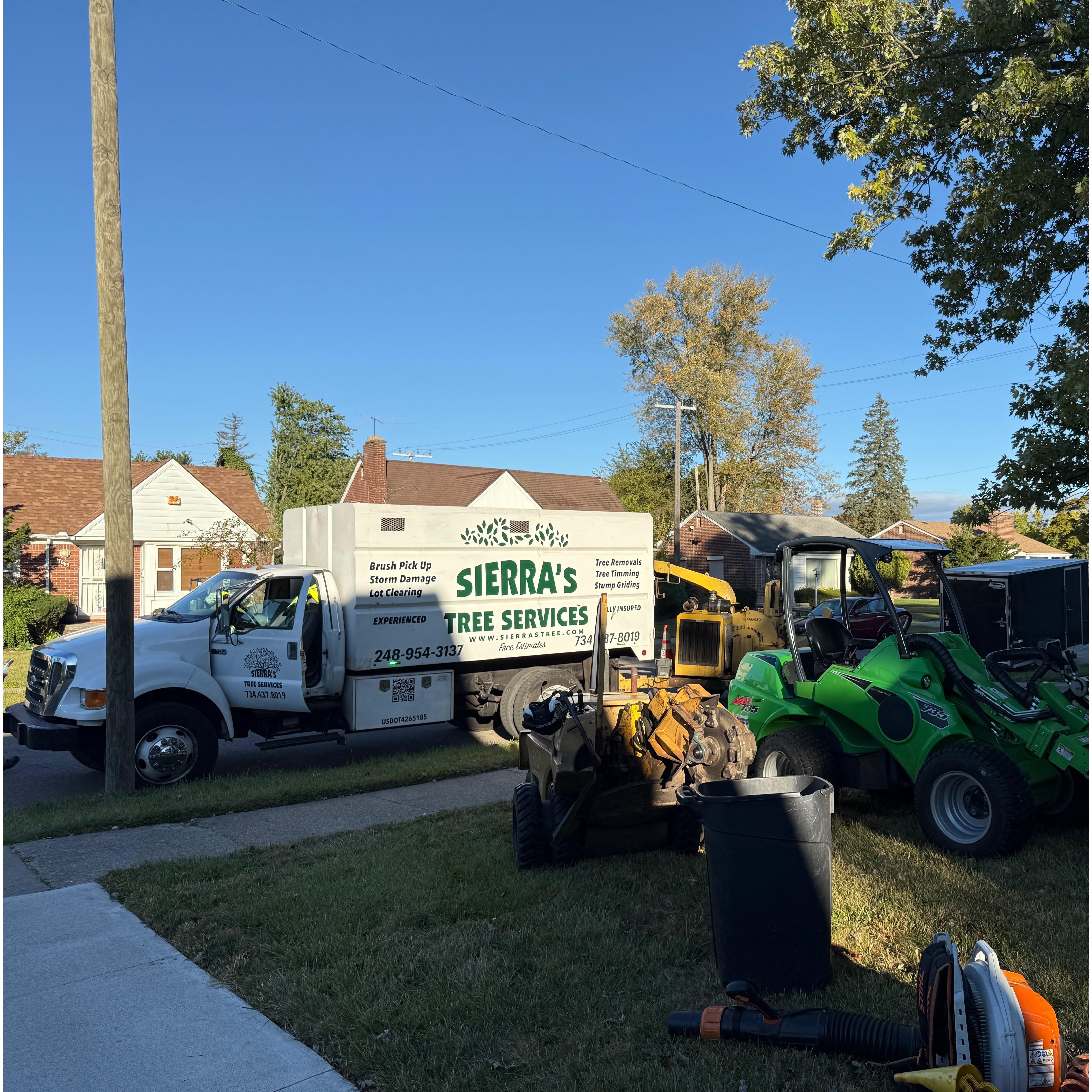 Sierra's treeservice Logo