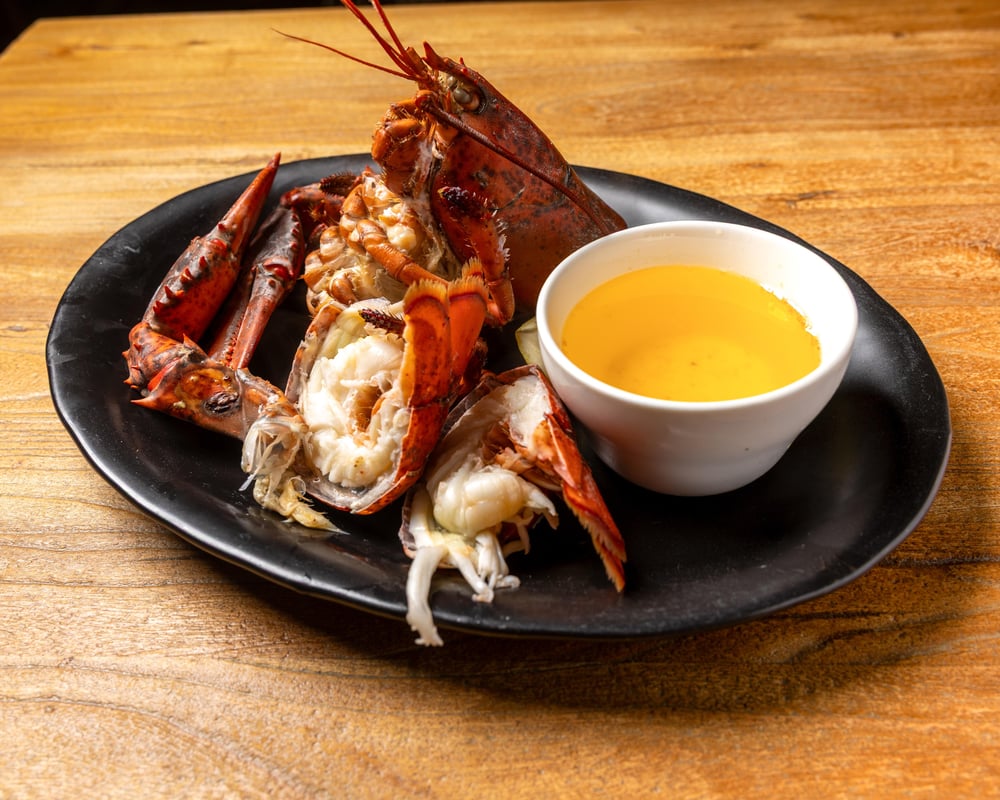 Maine Lobster