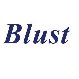 Blust Sales & Service