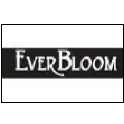 Ever-Bloom Photo