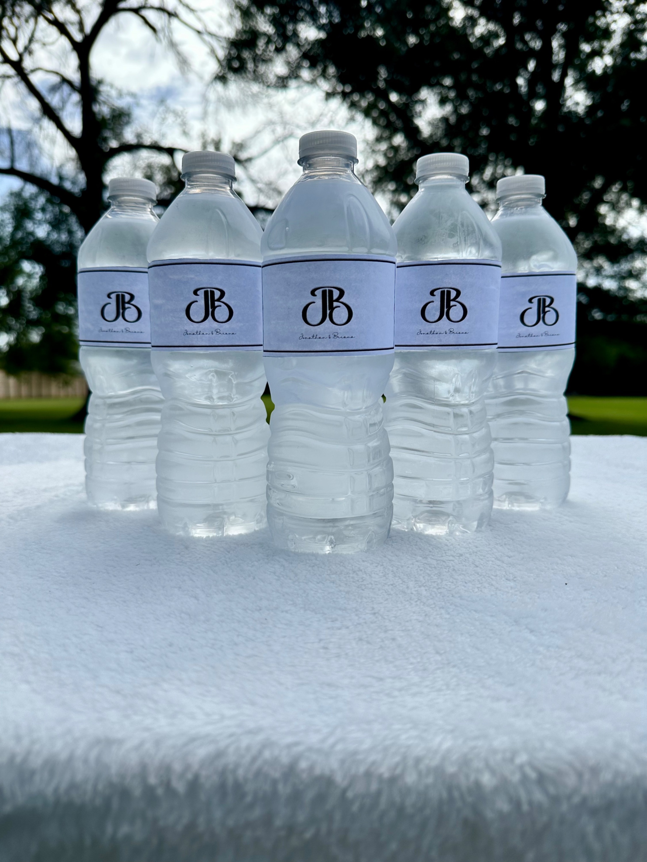 Nicole's Customs Image