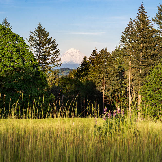 Toll Brothers at Scouters Mountain Photo