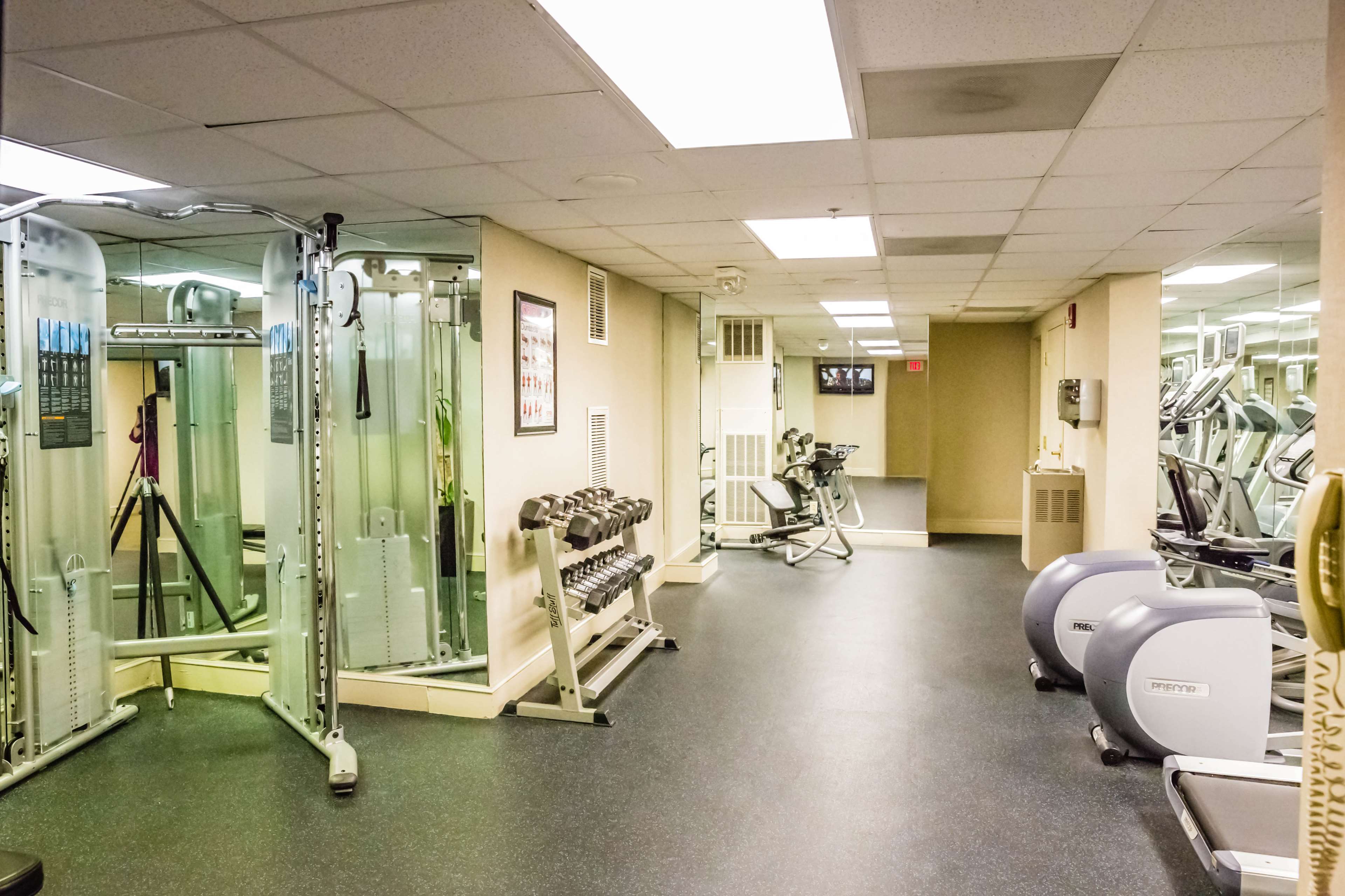 Health club  fitness center  gym