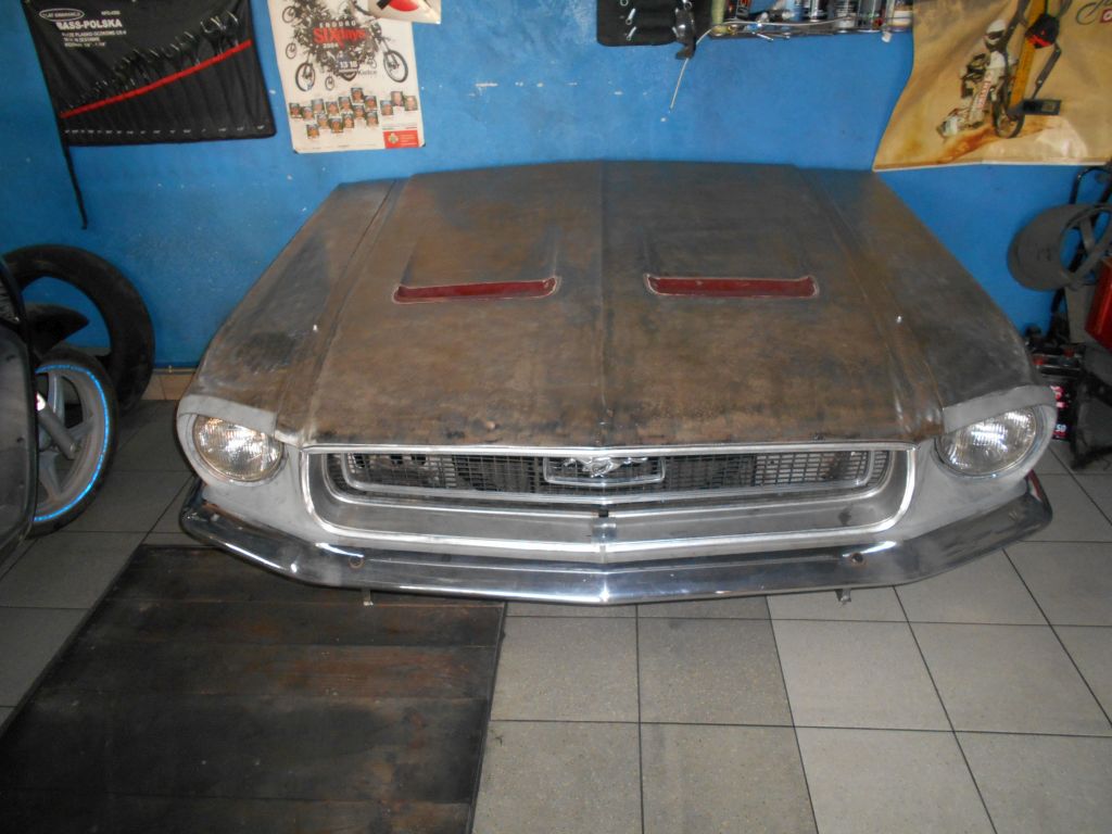 Images Stajnia Mustangów