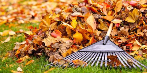 How to Prepare Your Lawn for Fall & Winter