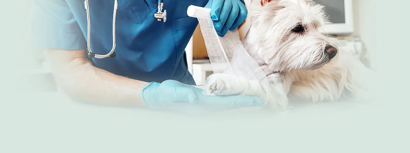 Emergency Triage