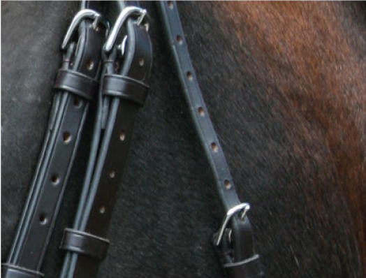 Animal Farmacy, Equine Products, Kilkenny