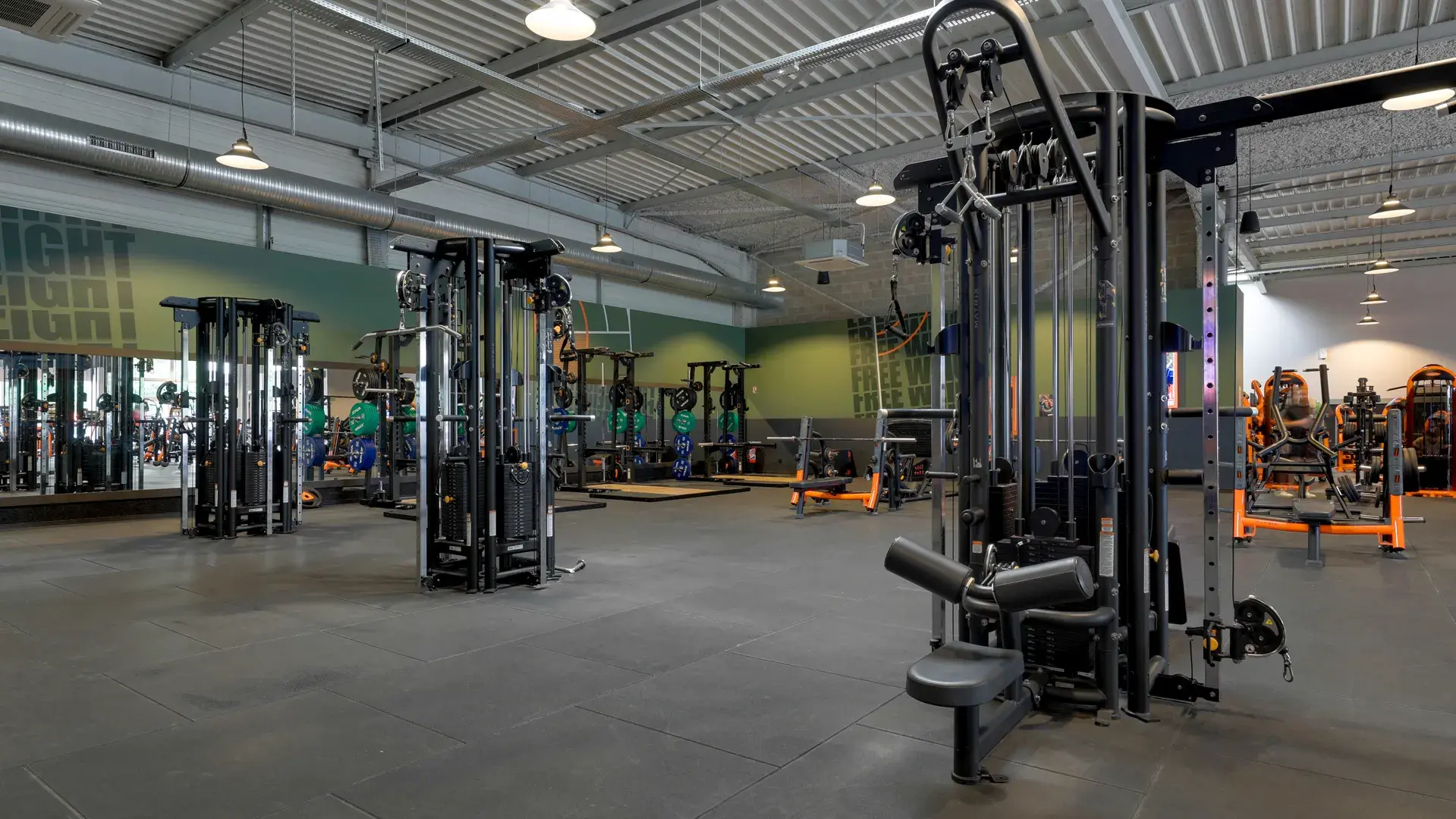 Miniature de la galerie