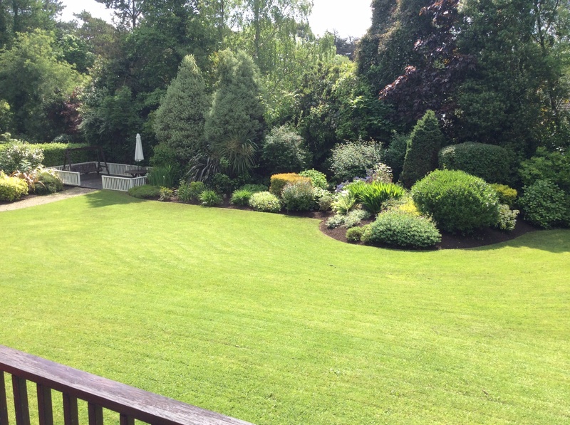D.McCarthy Landscapes, Garden Maintenance, Wicklow
