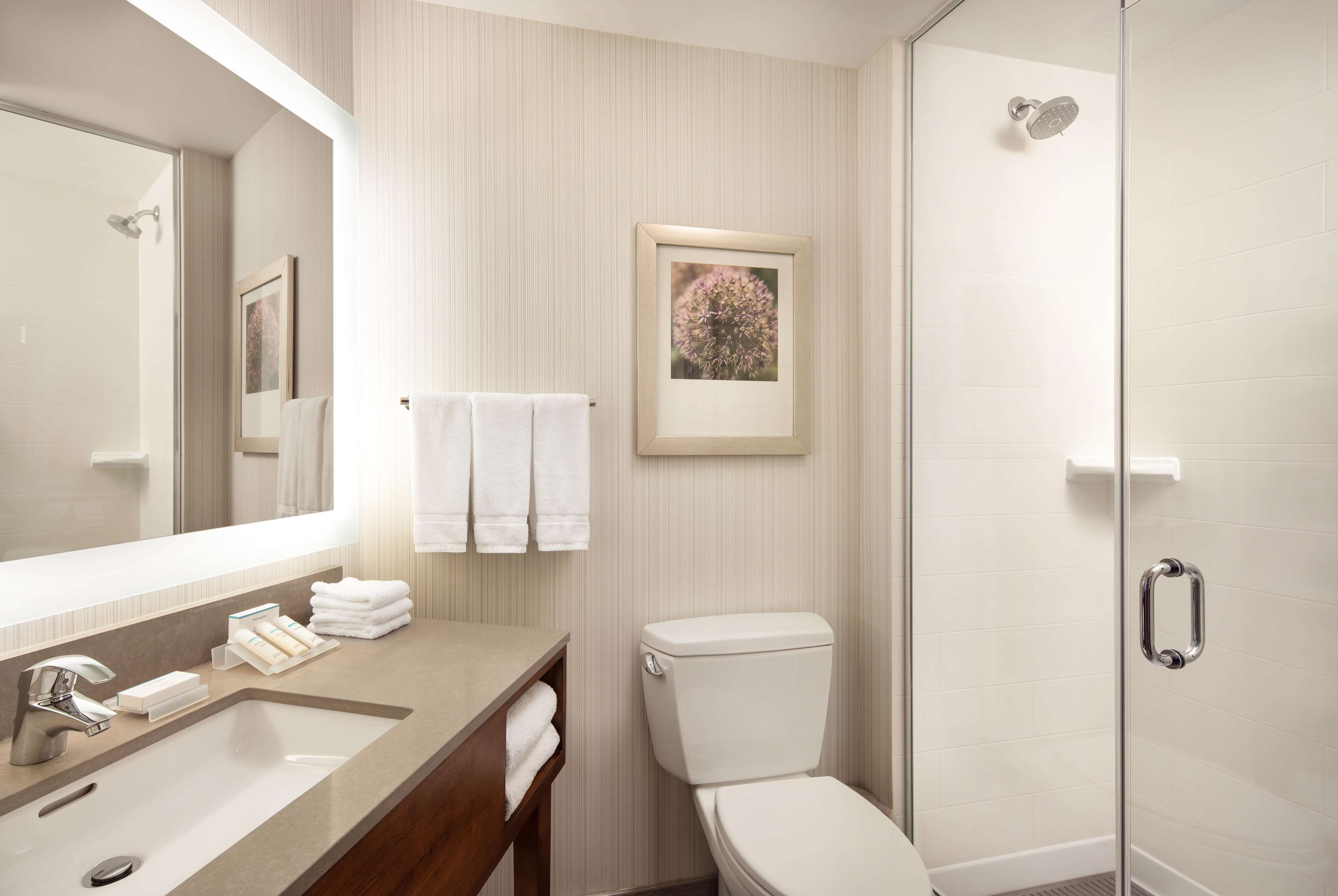 Hilton Garden Inn Long Island City New York Photo