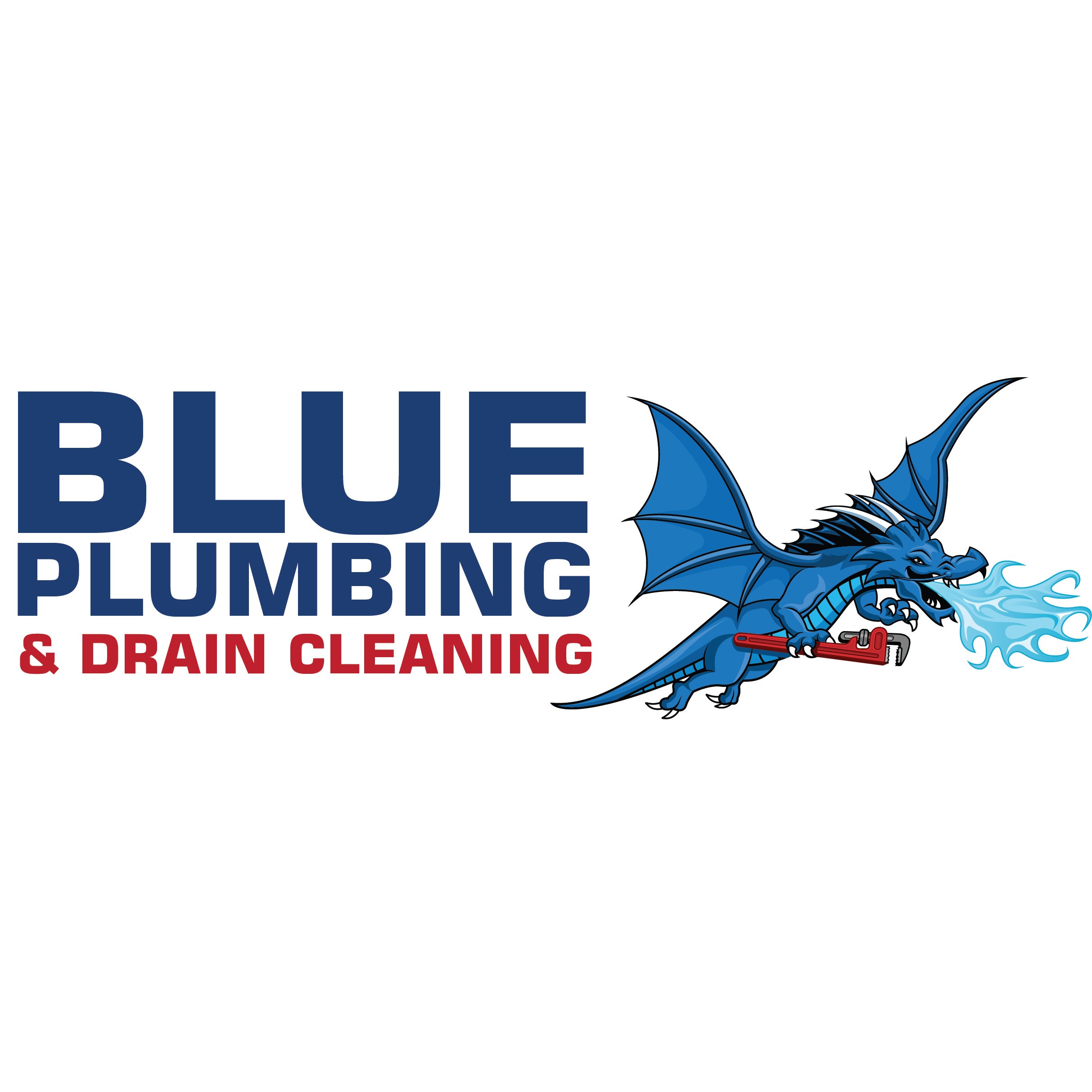 Blue Plumbing and Drain Cleaning LLC