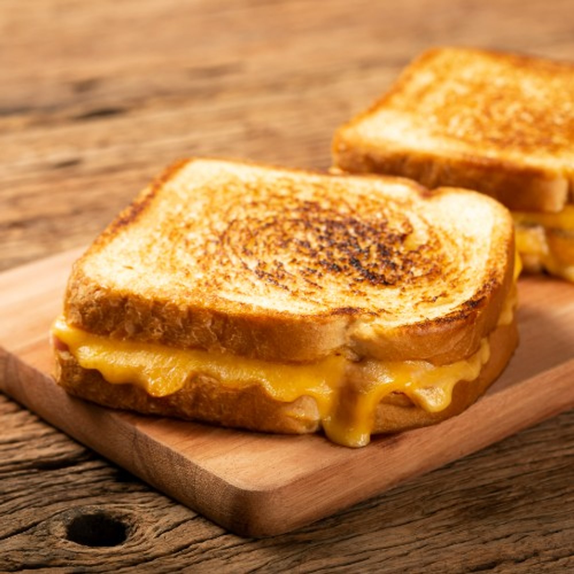 Grilled Cheese and Fries