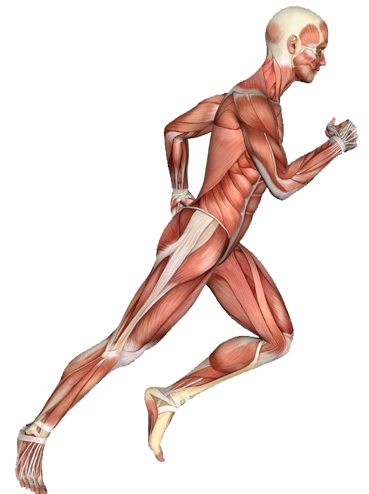 QC Kinetix (Tulsa) Image