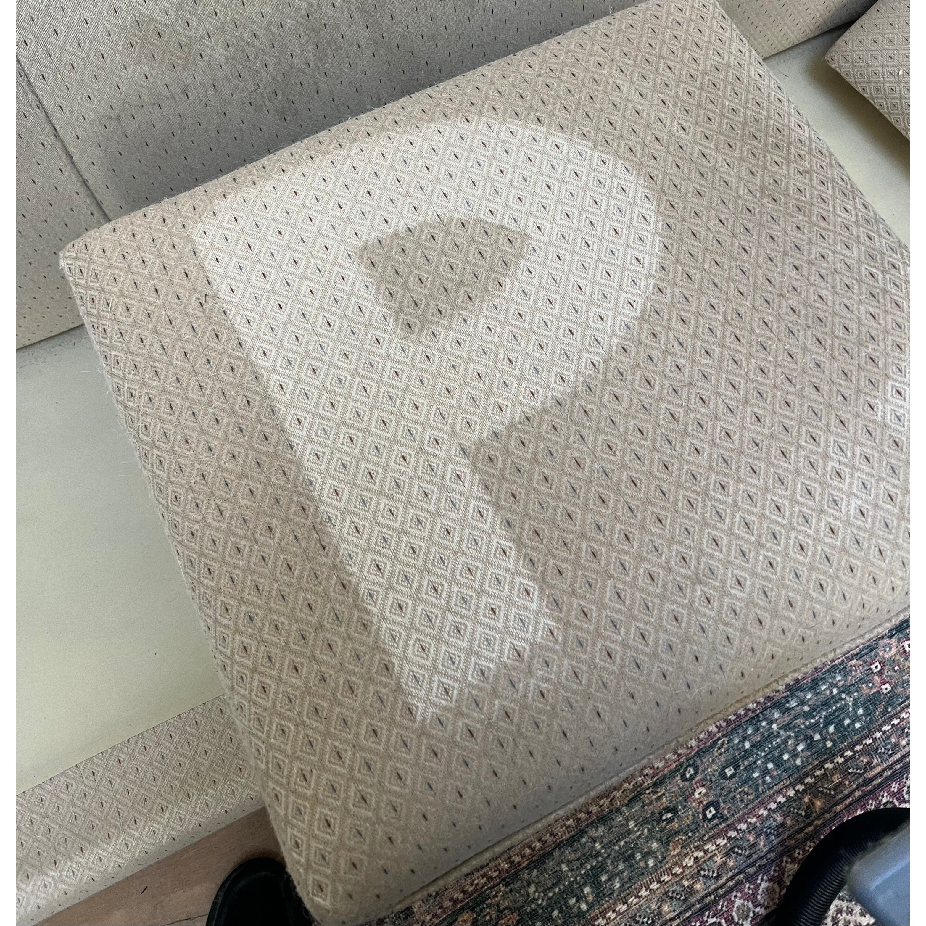 Pristine Carpet Cleaning and Water Damage Restoration