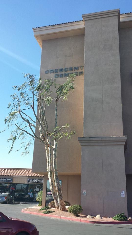 Pendleton Tree Service Yuma, AZ Business Profile