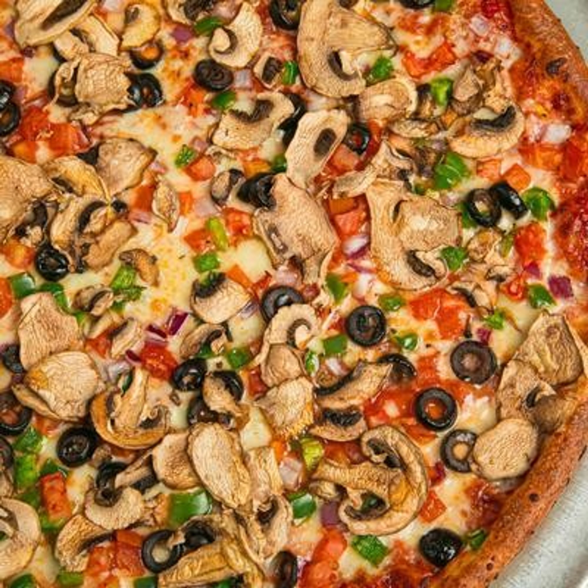 Vegetarian Pizza