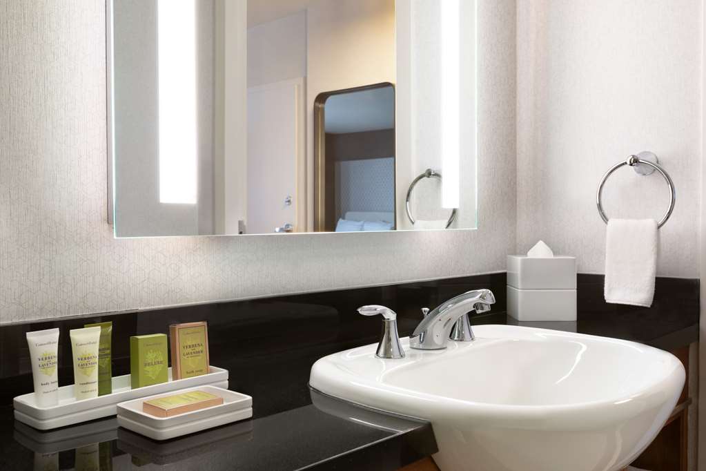 Hilton Baltimore BWI Airport Image