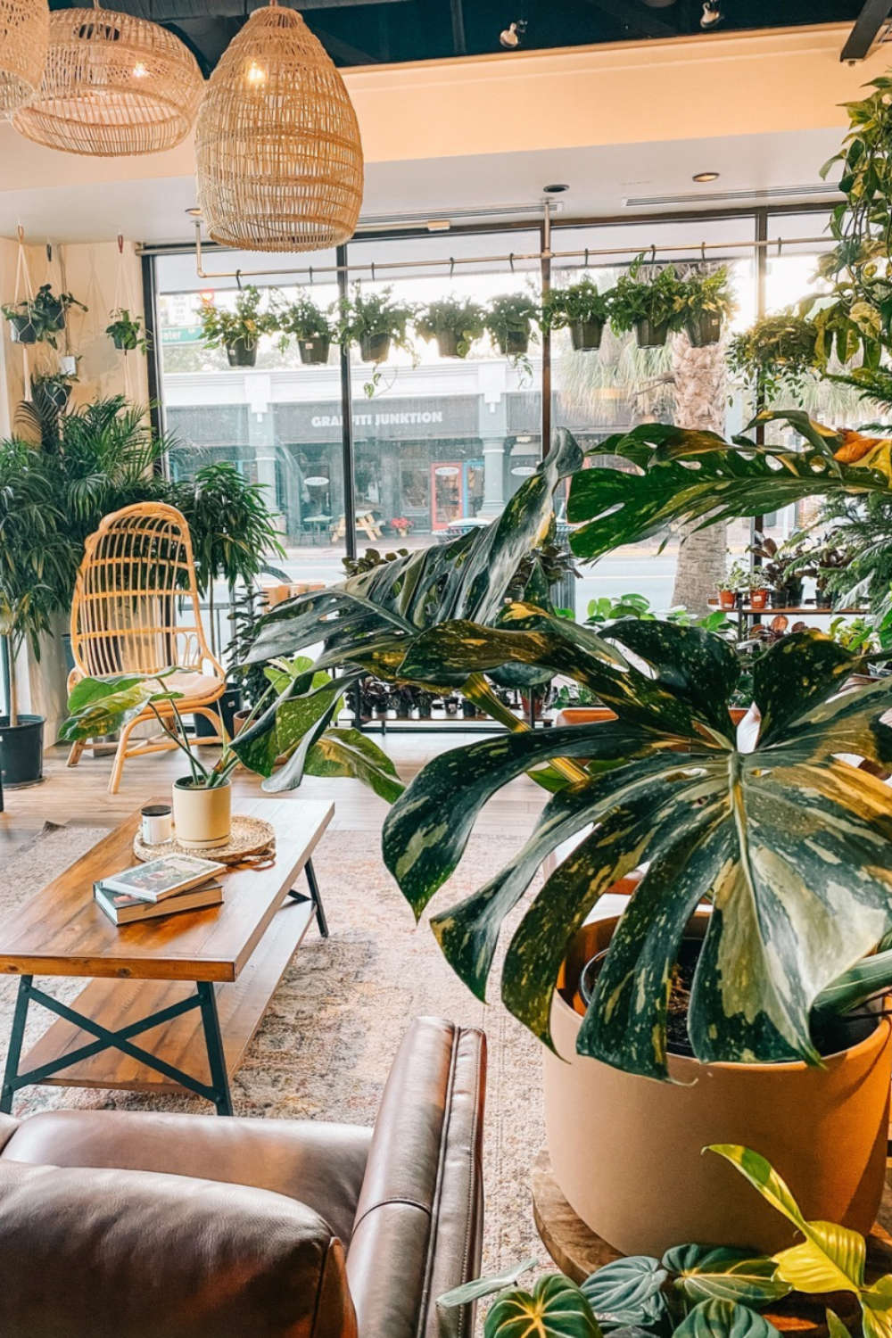 Jungle Room by BWH Plant Co Image