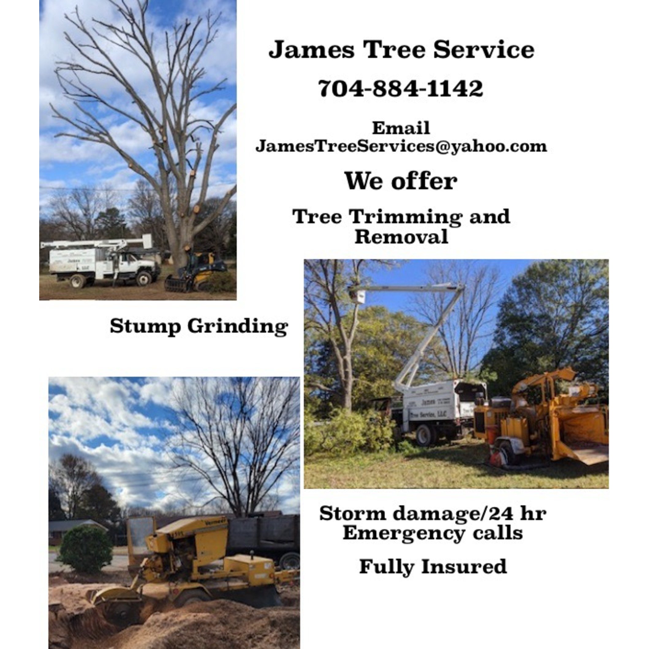 James Tree Service
