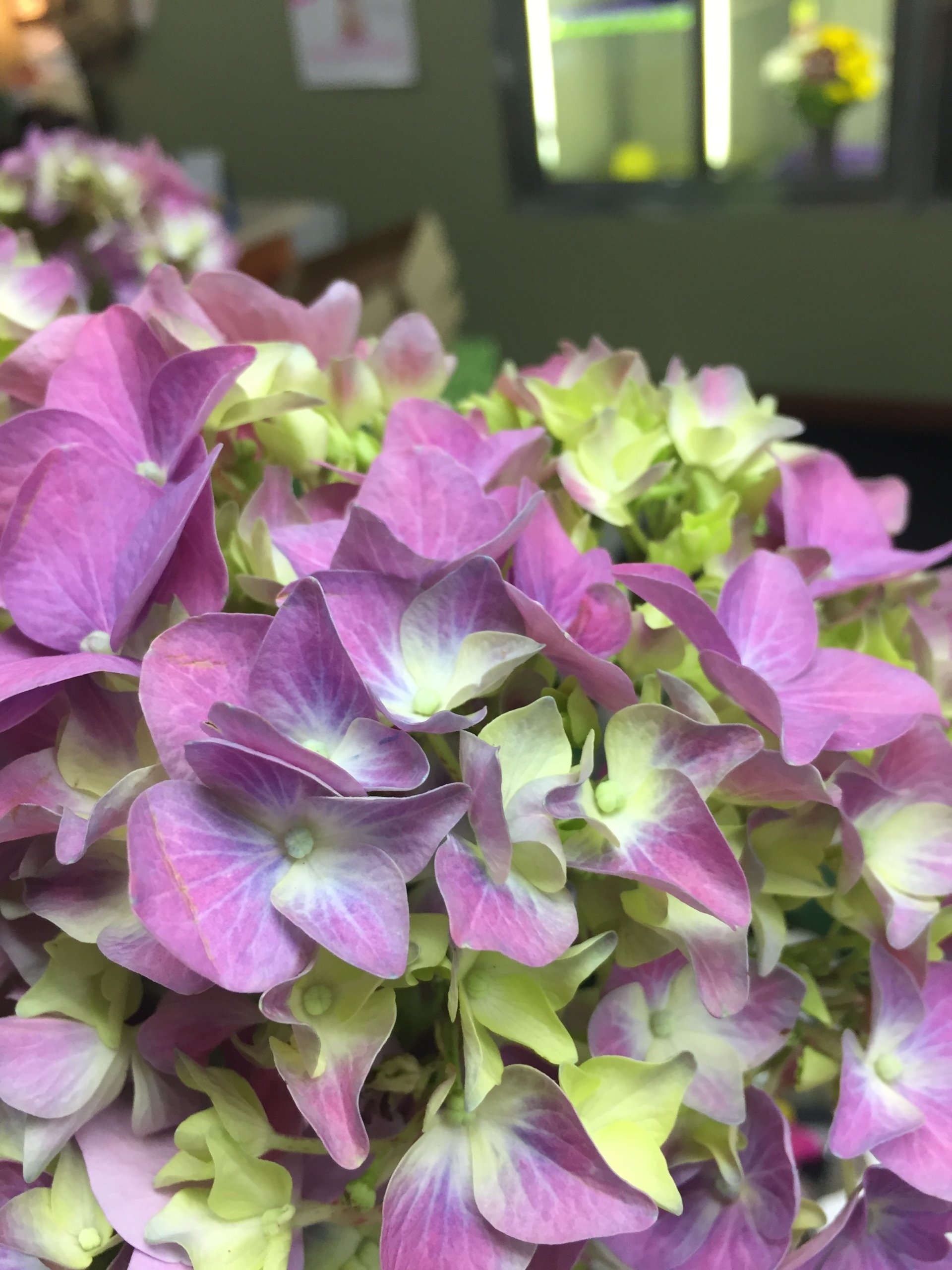 De Pere Greenhouse & Floral Photo