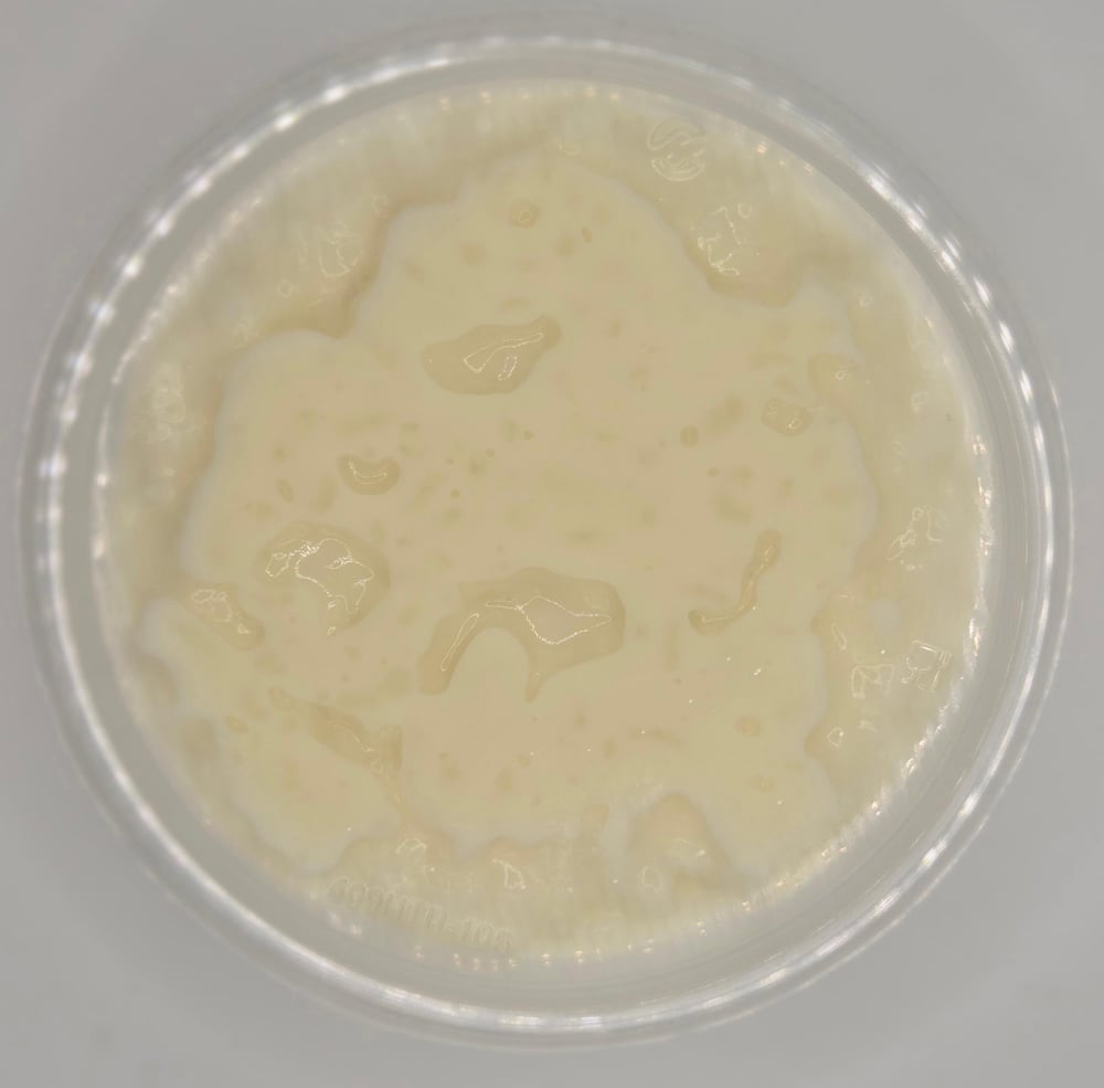 Rice Pudding
