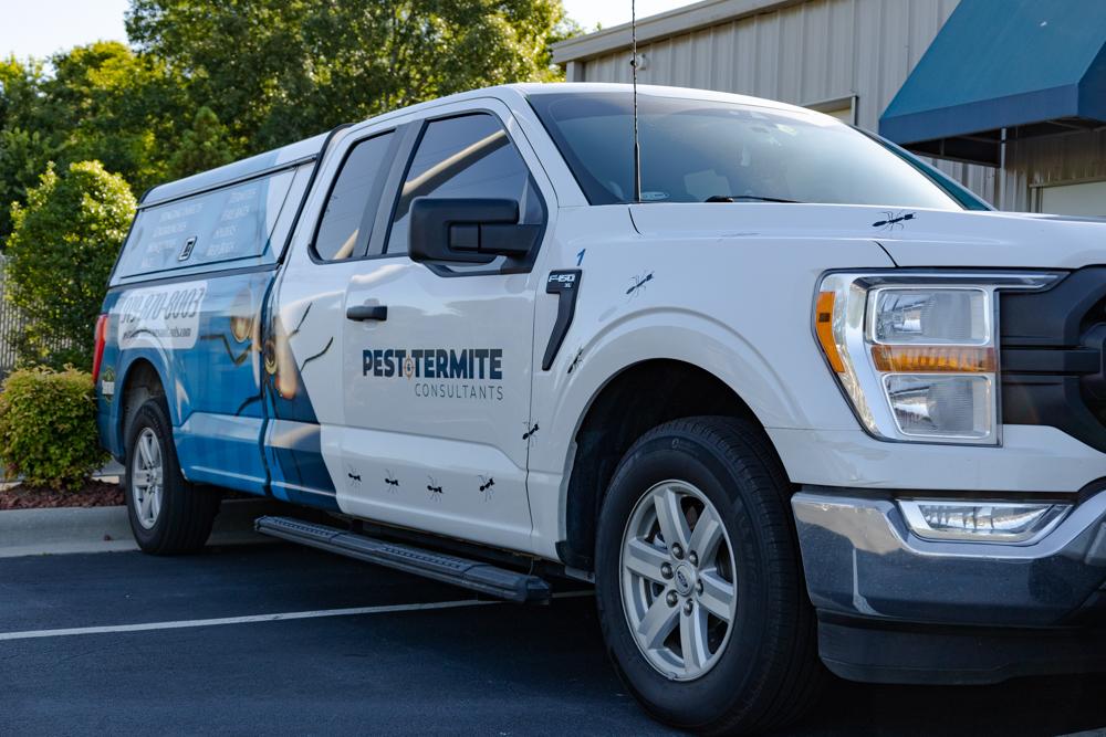 Pest & Termite Consultants Image