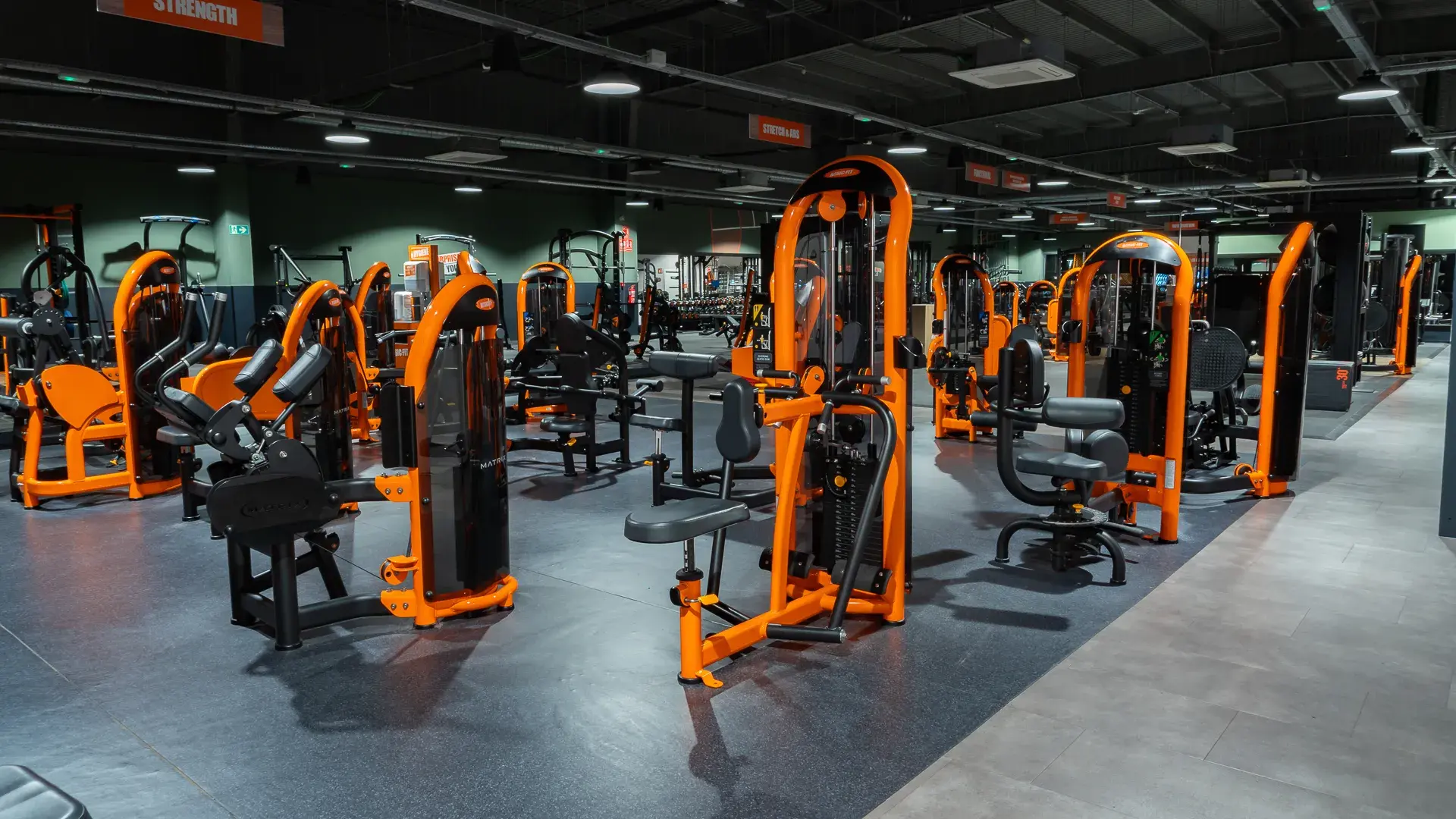 Galería de imágenes