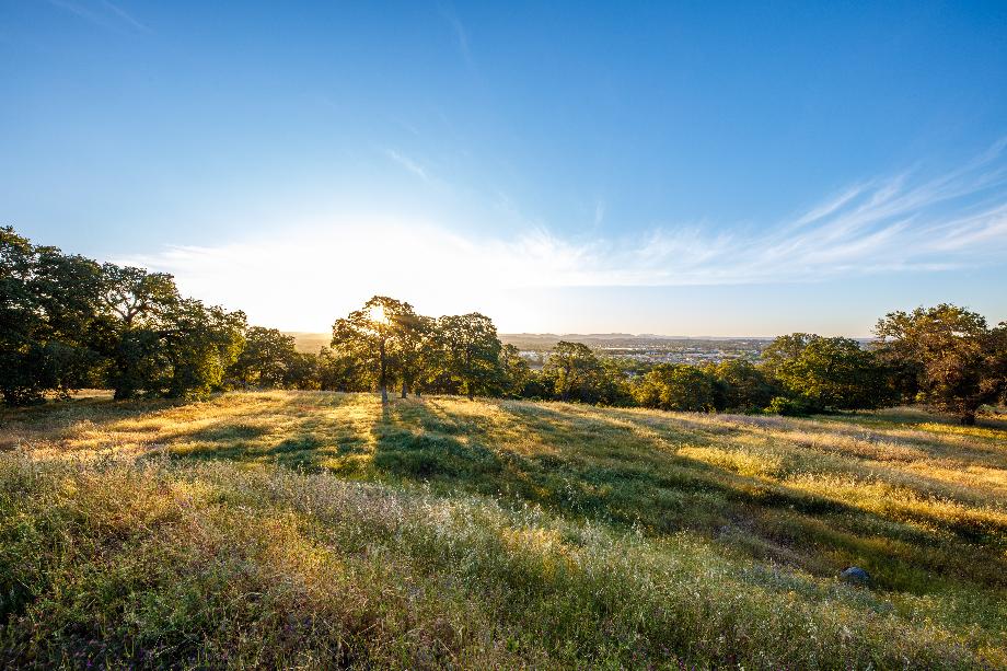 View from one of the Skyline home sites