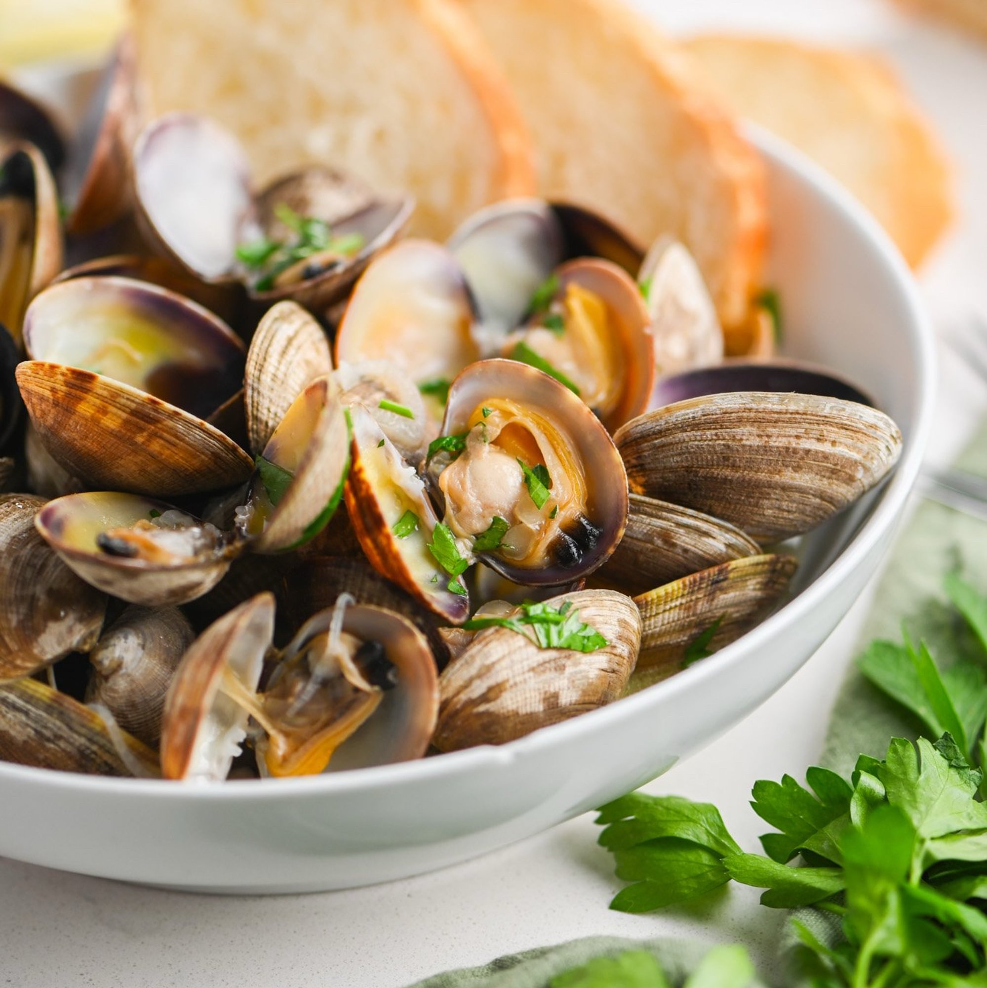Clams Bianco or Rosso