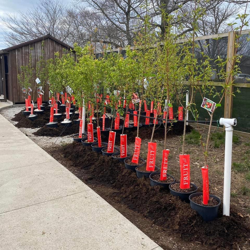 Davidson Greenhouse & Nursery, Inc.