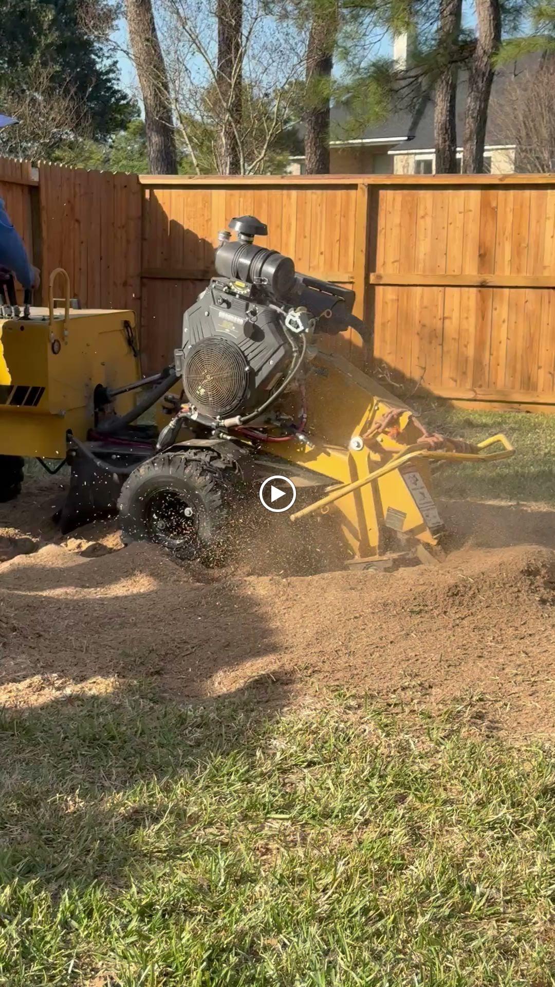 JJ Garcia Professional Tree Service Image