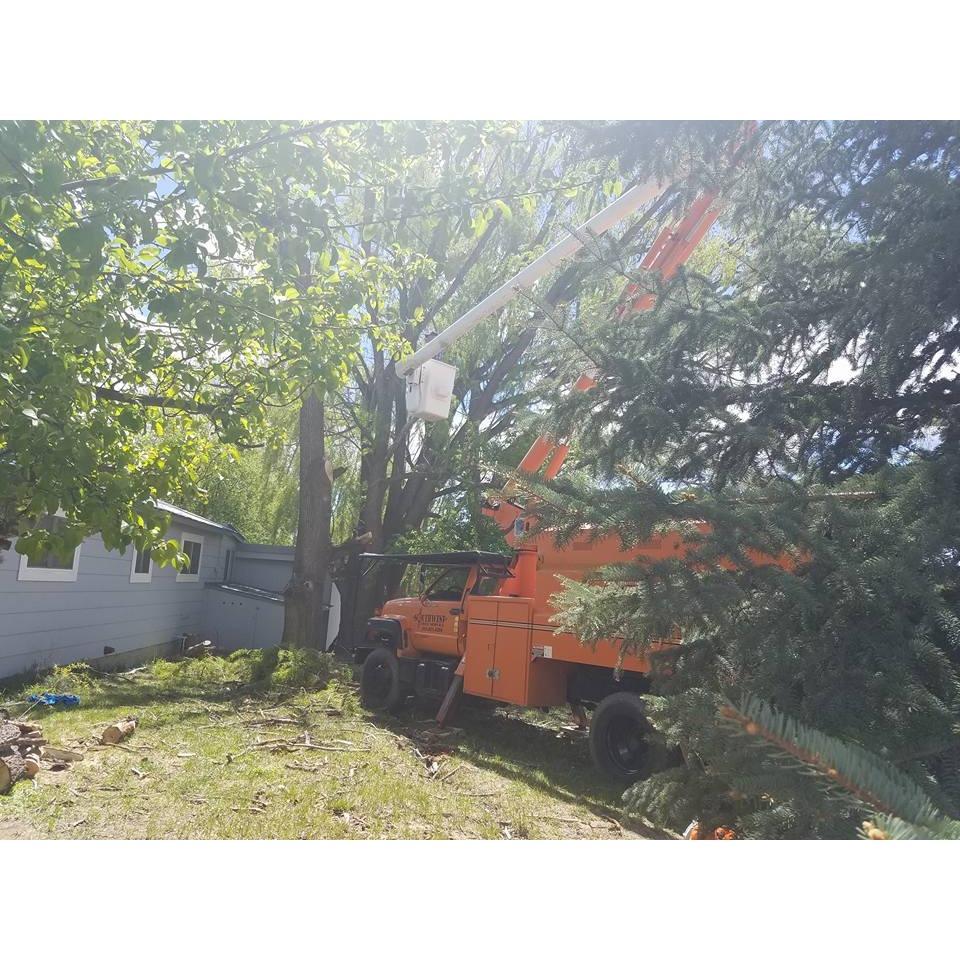 Southwest Tree Service Landscaping LLC Logo