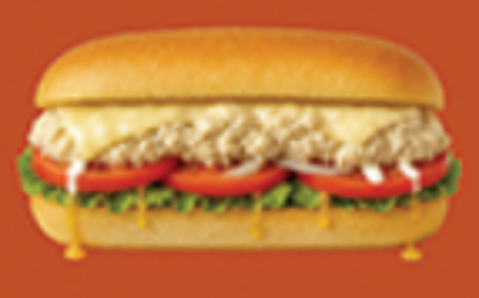 YOR'S Tuna Salad Melt