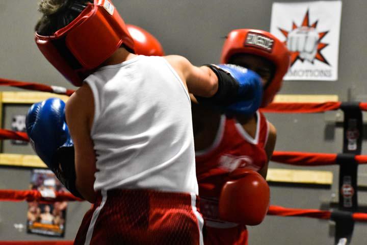 Mad House Boxing Club