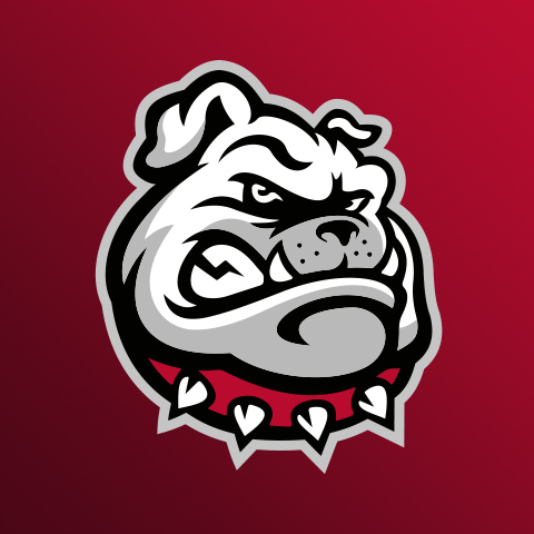 Bulldog Roofing Repair Logo