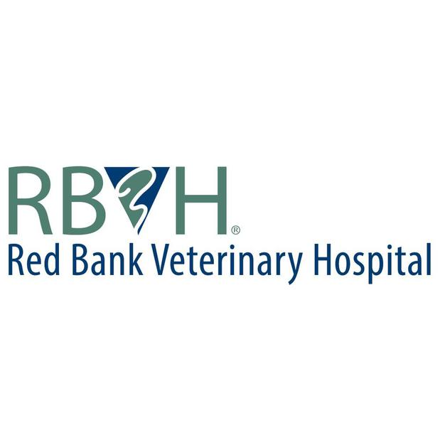 Red Bank Veterinary Hospital (RBVH) - Tinton Falls Logo