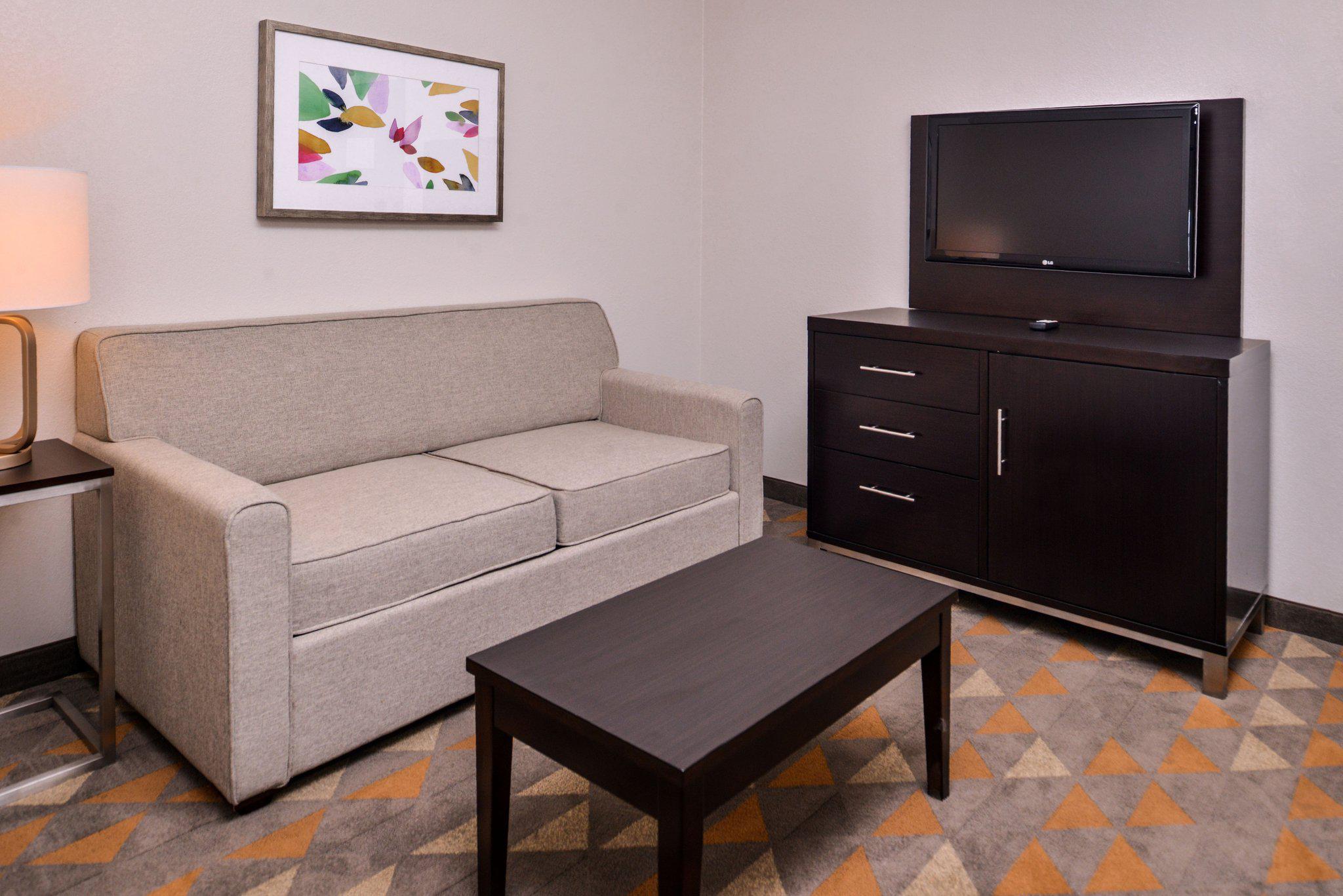 Holiday Inn & Suites Dallas-Addison Photo